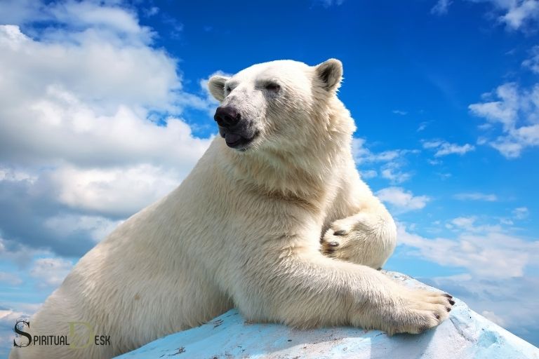 Duchovní význam ledního medvěda