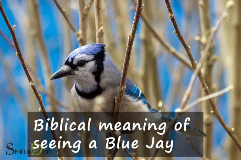 Blue Jay Duchovní význam Bible