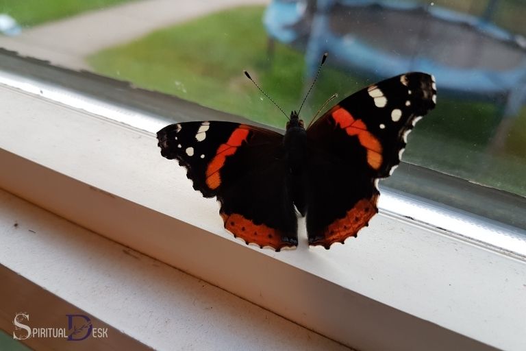 Duchovní význam motýla v domě