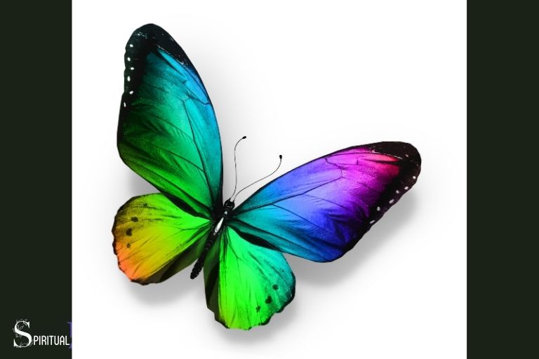 Duhový motýl Duchovní význam