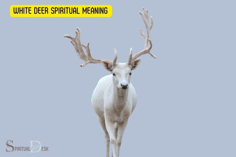 Bílý jelen Duchovní význam