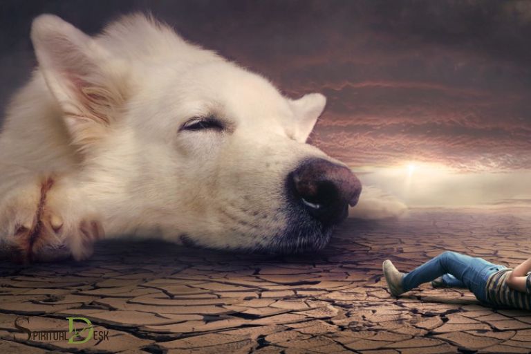 Duchovní význam psů ve snech