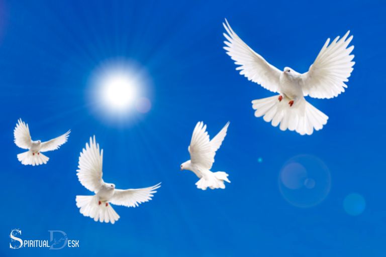 Duchovní význam holubic