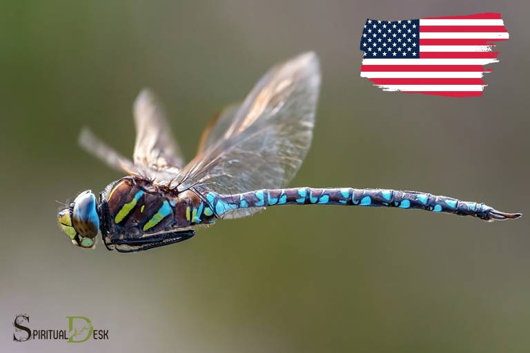 Nativní americký duchovní význam slova Dragonfly