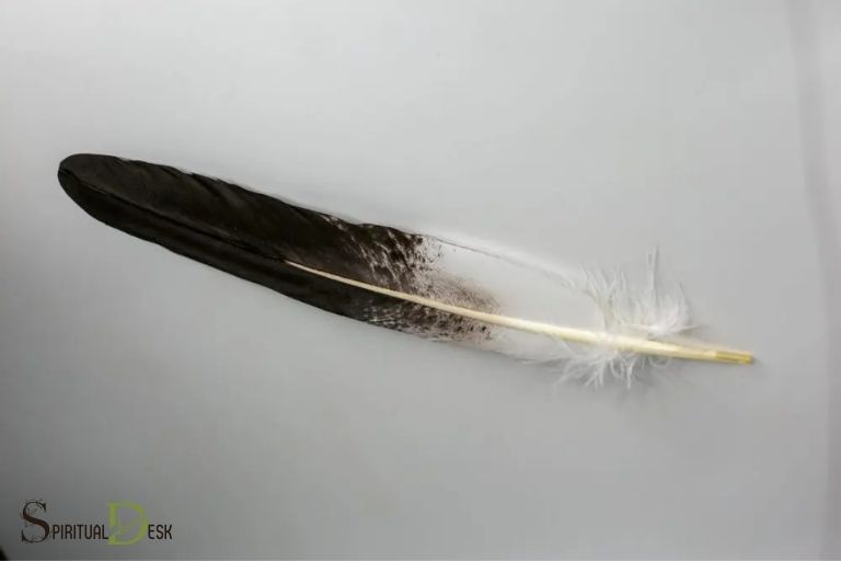 Spiritualita domorodců s orlím peřím: průvodce