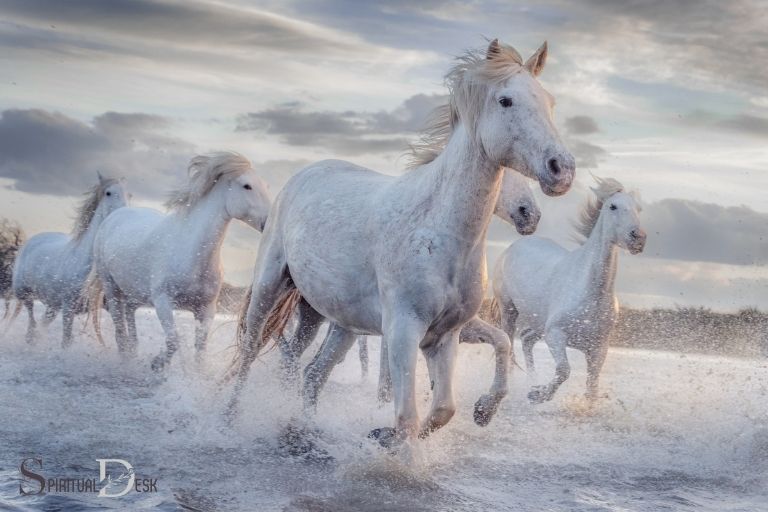 Co znamená bílý kůň z duchovního hlediska?