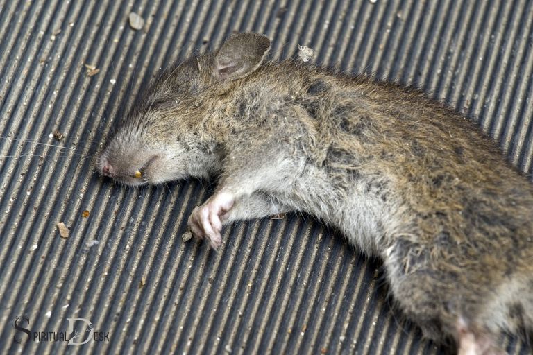 Mrtvá myš Duchovní význam