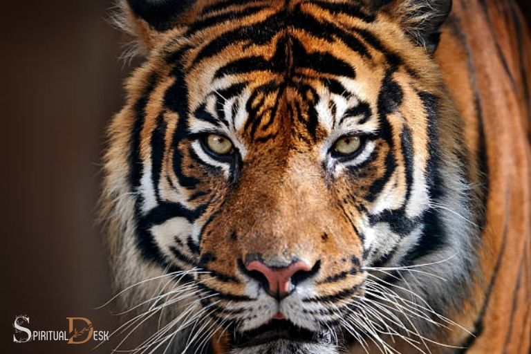 Tygří oko Duchovní význam