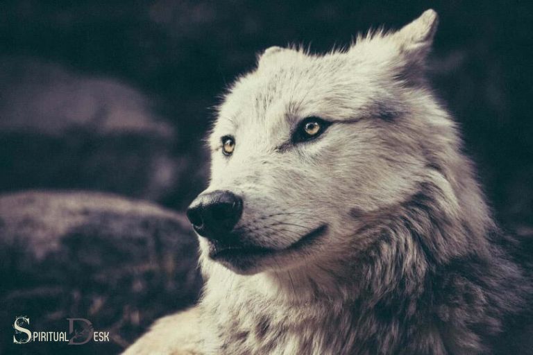 Duchovní význam vlka