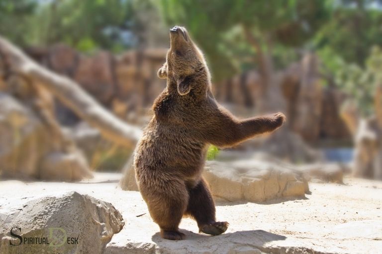 Dancing Bear Brìgh Spioradail