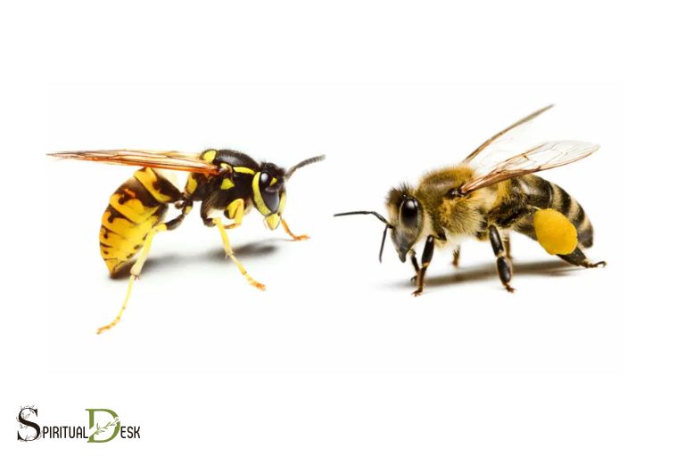 Yellow Jacket Bee Geestelike Betekenis