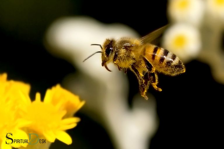 Garīgā nozīme bišu piezemēšanās uz jums