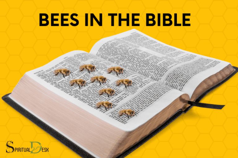 معنی معنوی زنبورها کتاب مقدس