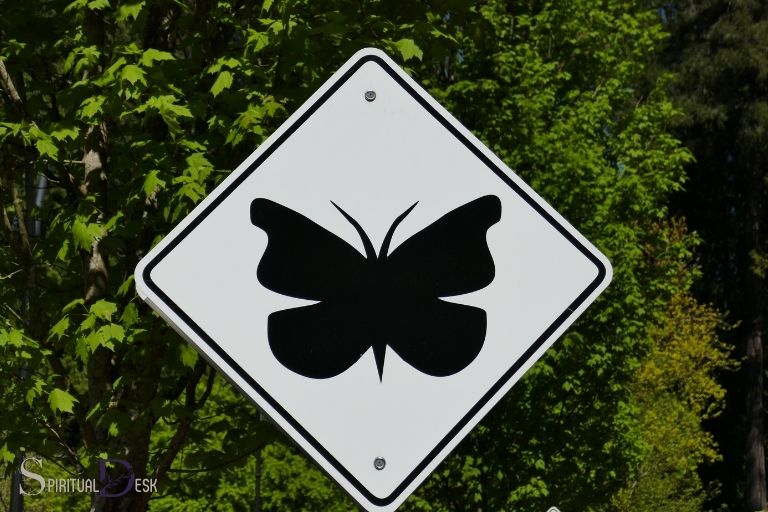 Духовното значение на пеперудата, която пресича пътя ви