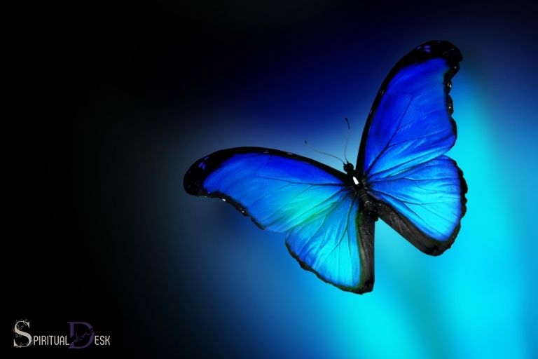Co duchowo oznacza niebieski motyl?