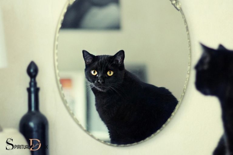 Kaķi un spoguļi Garīgā nozīme