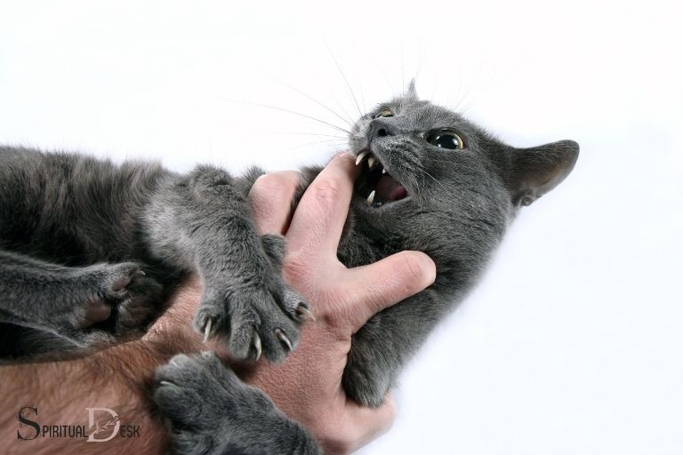 猫咬人的精神含义