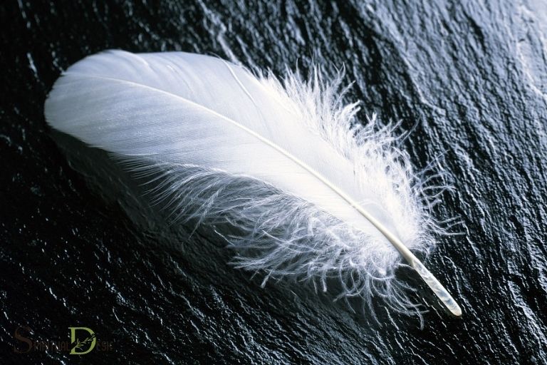 Duchovní význam peří bílé vrány