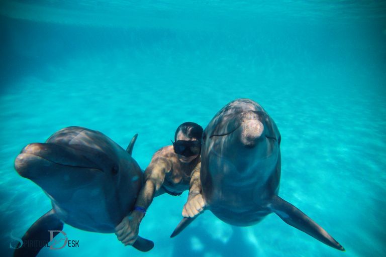 Duchovní výhody plavání s delfíny