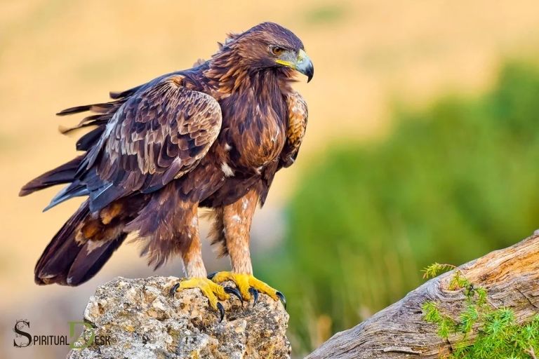 Golden Eagle Significado espiritual: todo o que hai que saber
