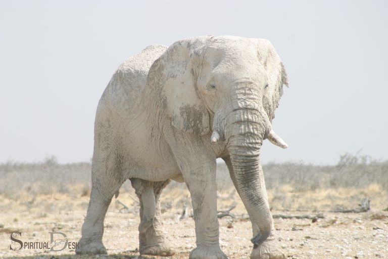 Bílý slon Duchovní význam