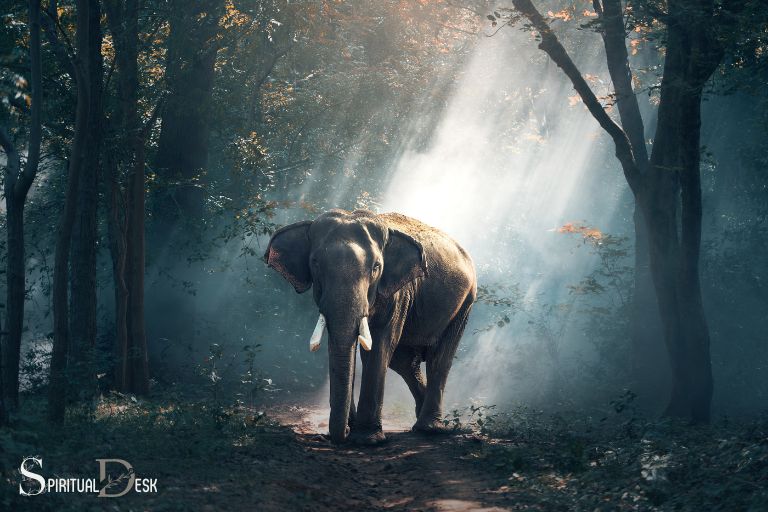 Geestelike betekenis van olifante in drome