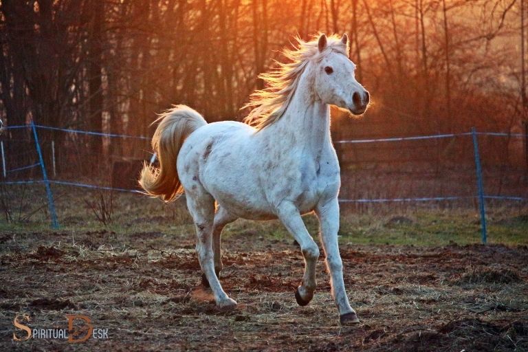 Kinh thánh ý nghĩa tâm linh ngựa