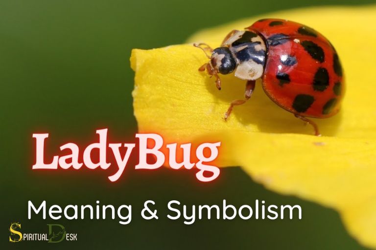 Kristlike geastlike betsjutting fan Ladybugs: Raveling Meaning
