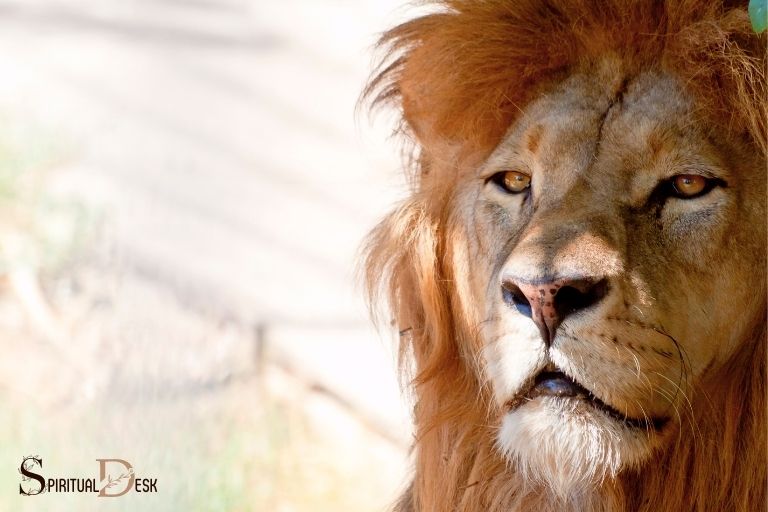 Quin és el significat espiritual de lleó?