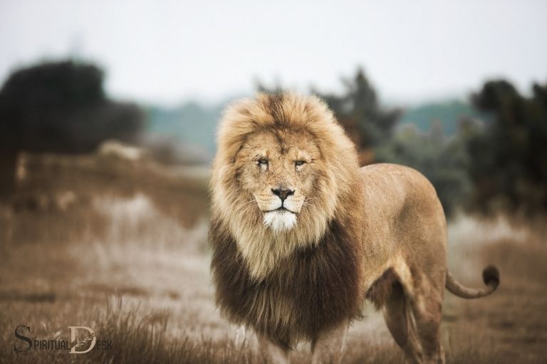 Løvehjerte spirituel betydning