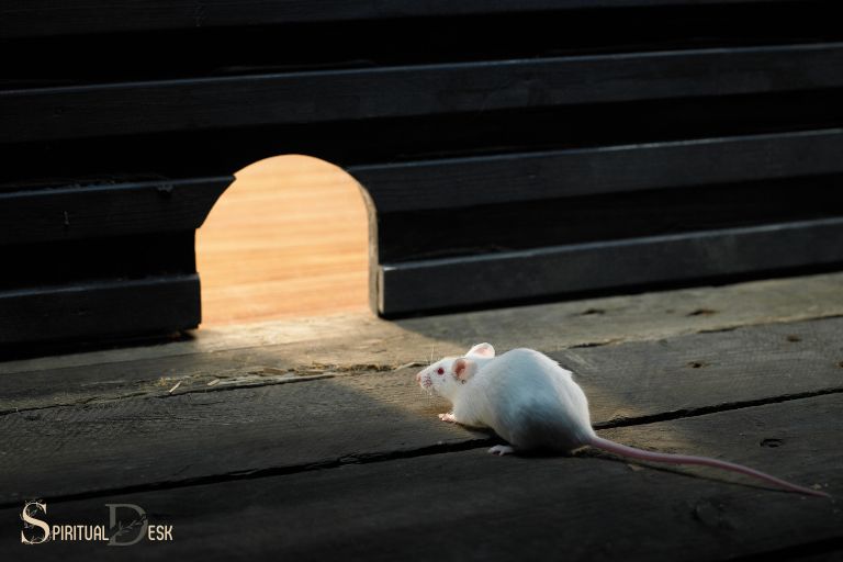 Geestelike betekenis van muis in huis