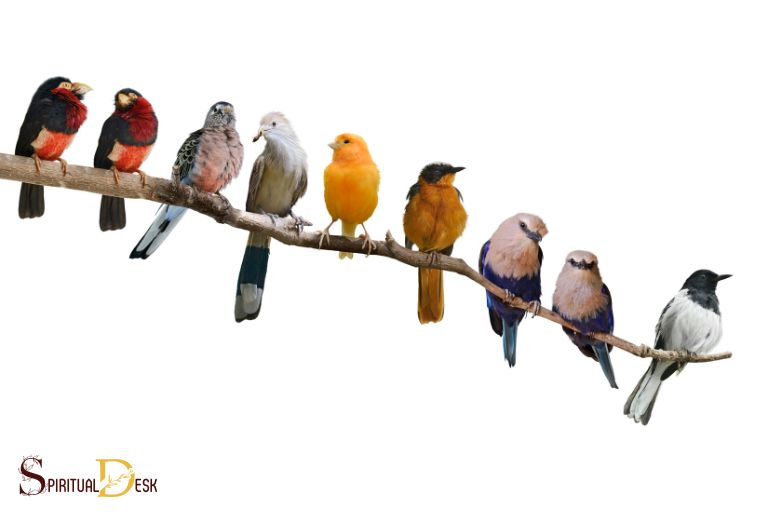 Kāda ir putnu redzēšanas garīgā nozīme?