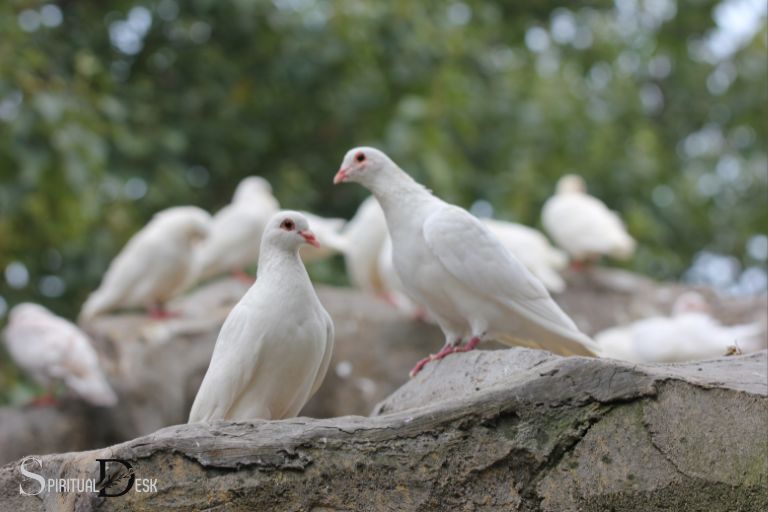 การเห็นนกพิราบขาวมีความหมายทางจิตวิญญาณอย่างไร?