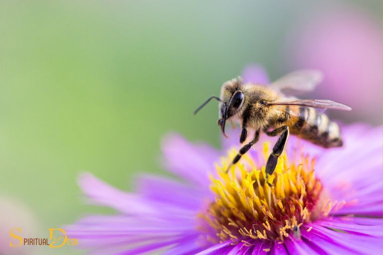 Cal é o significado espiritual de ver abellas?