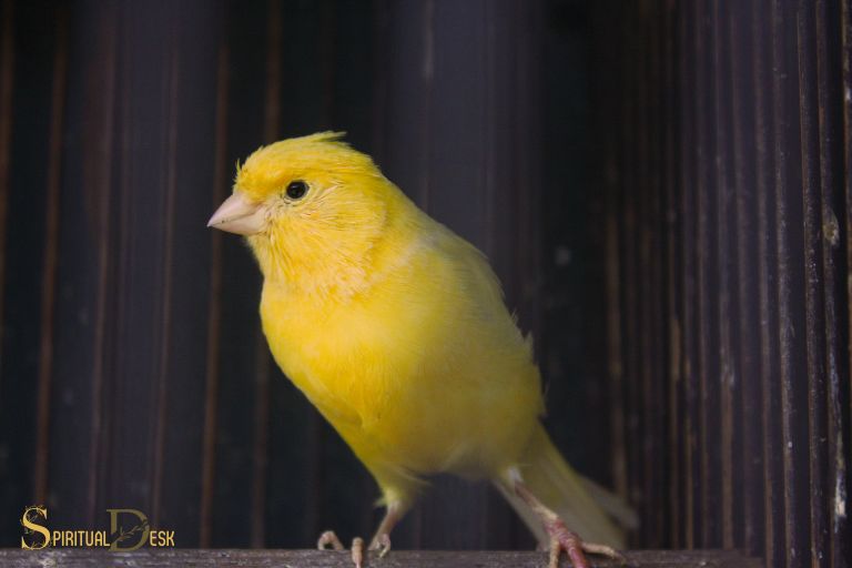 Kokią dvasinę prasmę turi geltonas paukštis?
