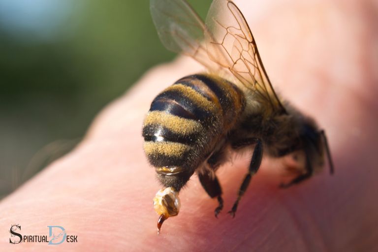 У чому полягає духовний сенс укусу бджоли?