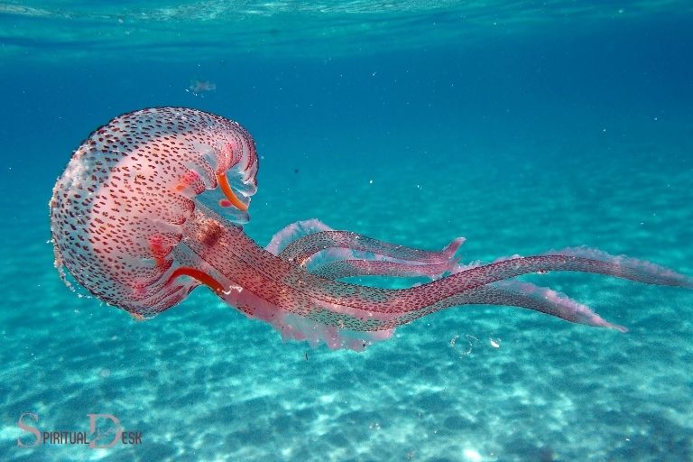Wat is de geastlike betsjutting fan in Jellyfish? Healing!