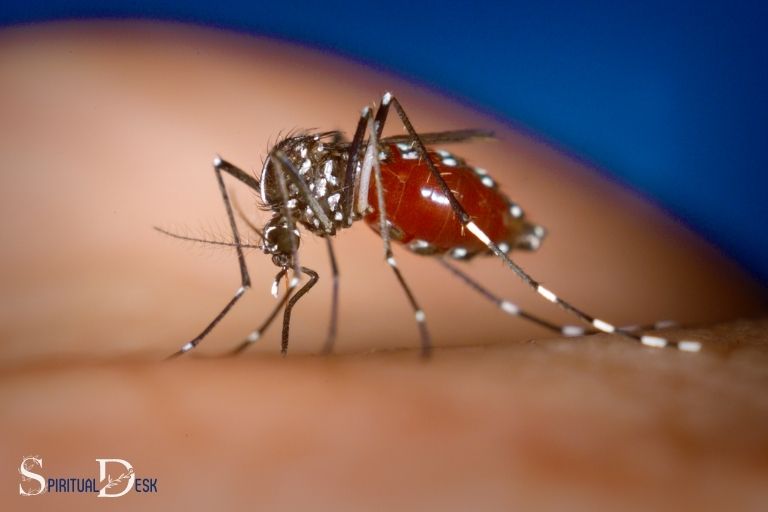 蚊のスピリチュアルな意味とは？
