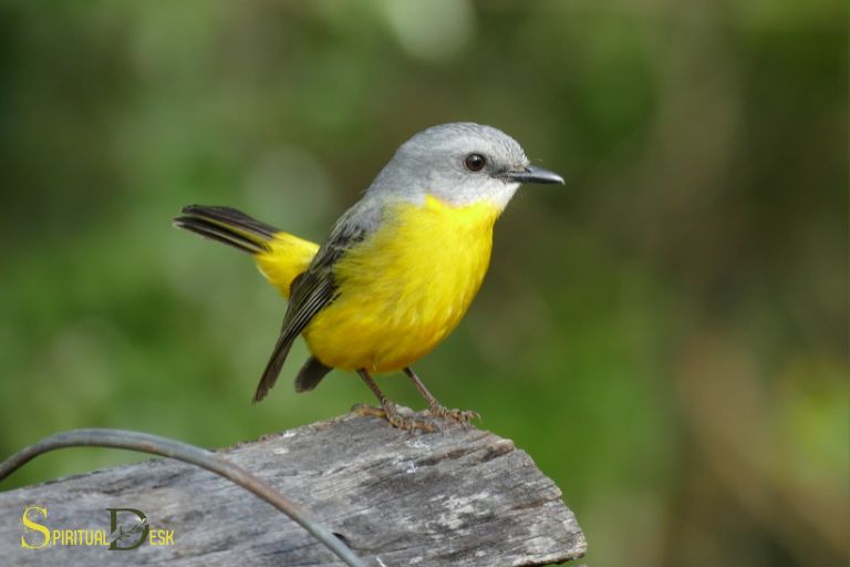 Hvad er den spirituelle betydning af en gulbrystet fugl?