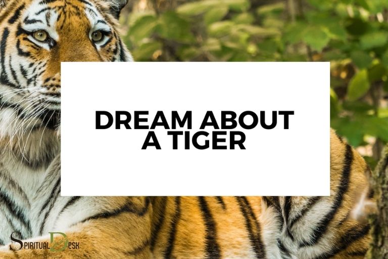 Tygr ve snu Duchovní význam